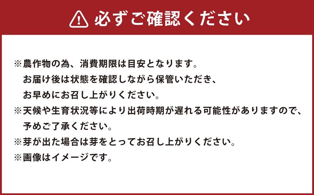 【先行予約】人気のじゃがいもをコラボで!　きたあかり×インカのめざめ(各2kg) 2025年9月中旬頃発送開始_03649