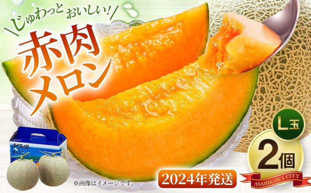 【先行予約】北海道「赤肉メロン」L玉×2個（2024年7月中旬発送開始予定）