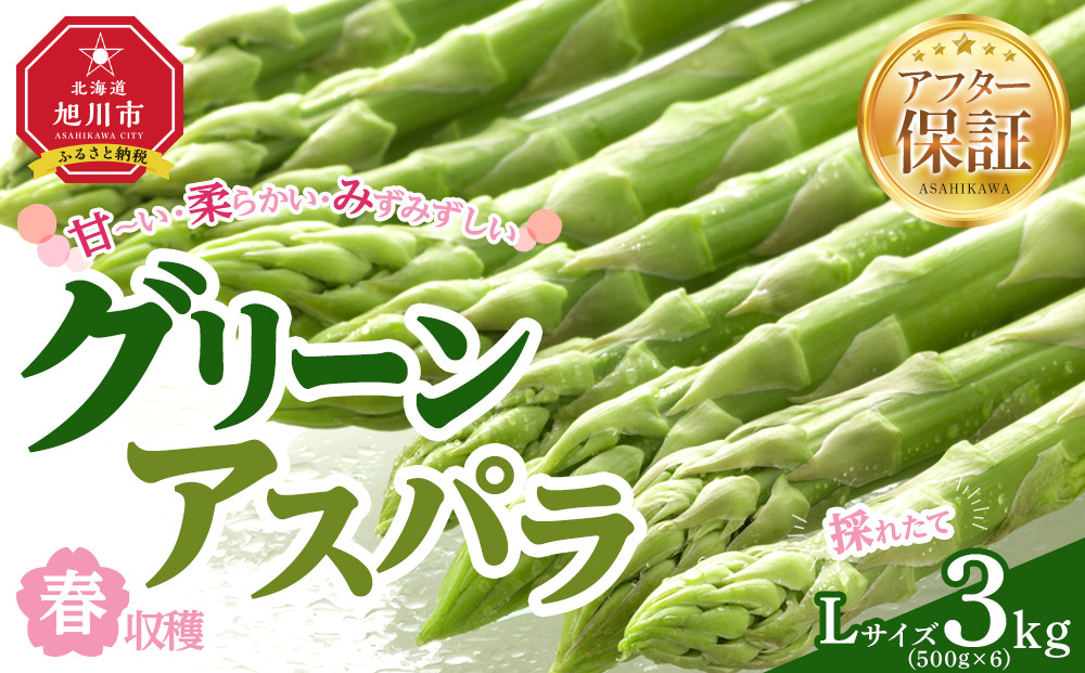 【先行予約】春収穫グリーンアスパラLサイズ（500g×6）約3.0kg（2026年6月上旬から発送開始予定）【 アスパラ アスパラガス 朝採り とれたて 野菜 旬 小分け 保存 産直 産地直送 お取り寄せ 旭川市 北海道 】_05533