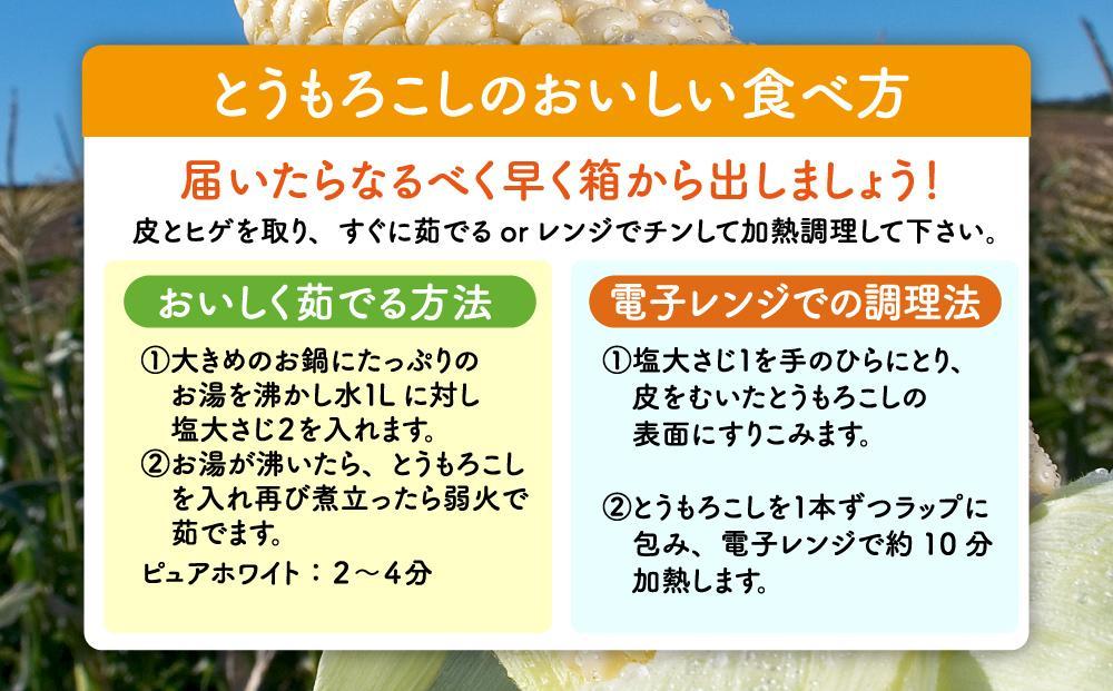 【先行予約】白いとうもろこしピュアホワイト 8本 2.4kg(2025年8月下旬～発送開始予定)【 人気 北海道産 糖度 生 野菜 スイートコーン 産地直送 バーベキュー BBQ コーン 旬 お取り寄せ 旭川市 北海道 送料無料 】_04559