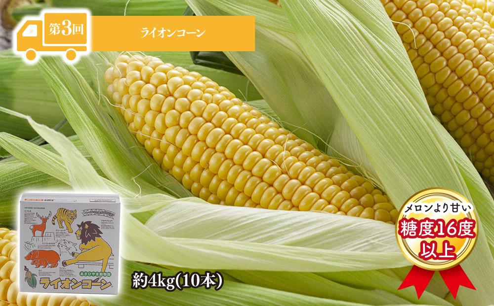 令和7年6月発送開始　かに太郎 定期便Oセット（アスパラ、赤肉メロン、ライオンコーン、ジンギスカン）全4回_01602