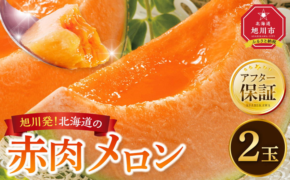 【26年発送先行予約】旭川発！北海道の赤肉メロン2玉（1玉標準 1.3kg以上）2026年6月下旬から発送開始予定 【 果物 くだもの フルーツ メロン 赤肉 赤肉メロン 旬 お取り寄せ 甘い 北海道産 旭川市 北海道 】_01102