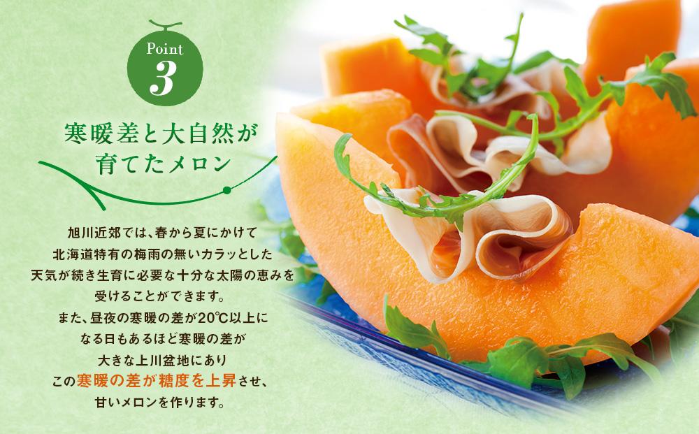 【26年発送先行予約】旭川発！北海道の赤肉メロン2玉（1玉標準 1.3kg以上）2026年6月下旬から発送開始予定 【 果物 くだもの フルーツ メロン 赤肉 赤肉メロン 旬 お取り寄せ 甘い 北海道産 旭川市 北海道 】_01102