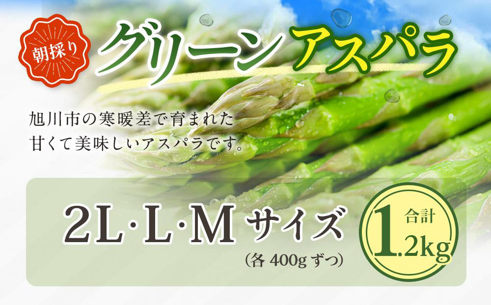朝採り グリーンアスパラ M～2L 1.2kg (2026年5月下旬発送開始予定) 【 アスパラ アスパラガス 朝採り とれたて 野菜 旬 小分け 保存 産直 産地直送 お取り寄せ 旭川市 北海道 】_01705