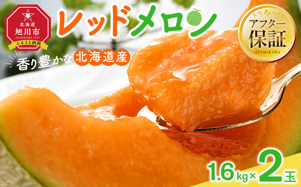 【26年発送先行予約】香り豊かな 北海道レッドメロン 1.6kg×2玉(2026年7月下旬から発送開始予定) 【 果物 くだもの フルーツ メロン 赤肉 赤肉メロン 旬 お取り寄せ 甘い 北海道産 旭川市 北海道 】_01381
