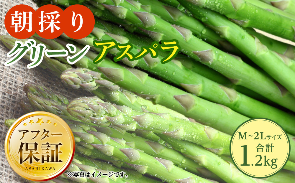 朝採り グリーンアスパラ M～2L 1.2kg (2026年5月下旬発送開始予定) 【 アスパラ アスパラガス 朝採り とれたて 野菜 旬 小分け 保存 産直 産地直送 お取り寄せ 旭川市 北海道 】_01705