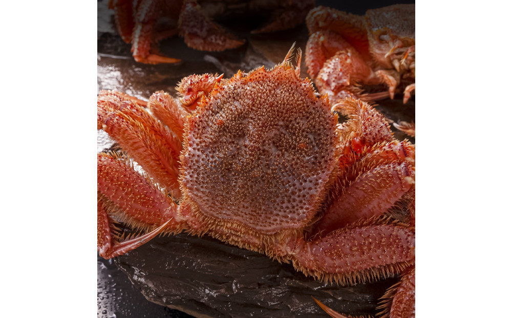 蛹玲オキ驕鍋肇豈帙ぎ繝1蟆セ 650g蜑榊セ契05581