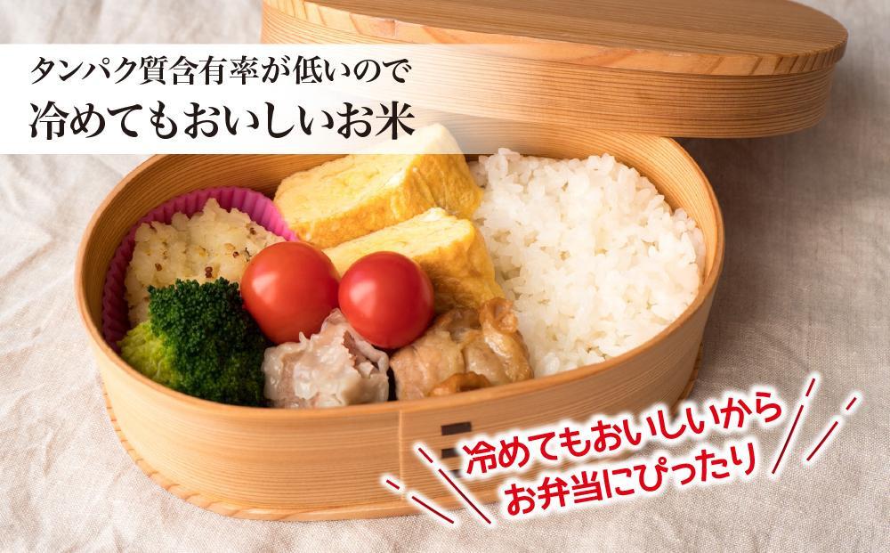 【令和６年産・精米・真空パック】 あさひかわ産米 ４品種 食べ比べセット ２kg×４袋 計８kg _01472