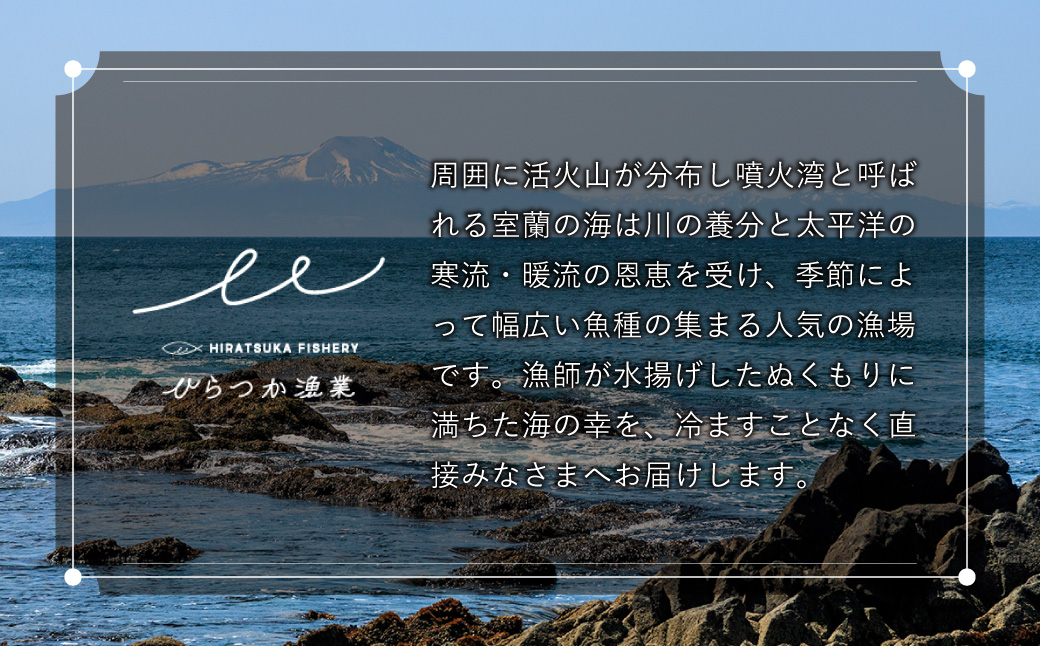 漁師が作った北海道シーフードカレー 1パック MROAL006