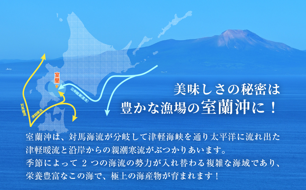 北海道室蘭産 天然活蝦夷あわび 3個入（1個100g～120g前後）（2026年1月中旬頃から順次発送予定） MROH010