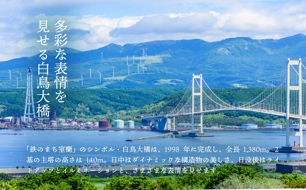 白鳥大橋主塔登頂クルーズ 標準コースチケット 大人2名様　 MROX008