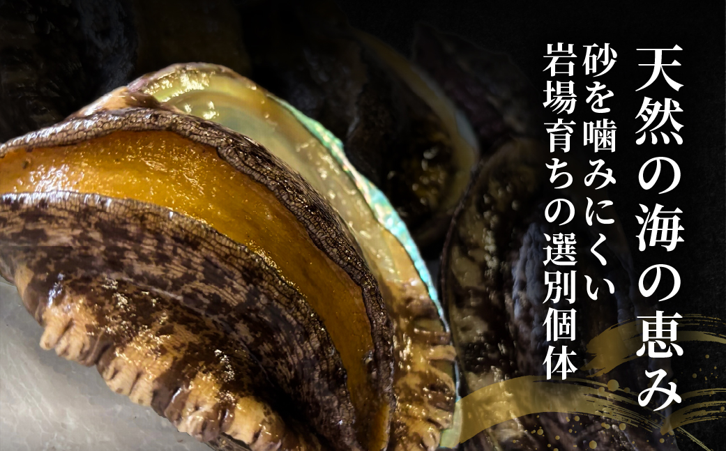 蛹玲オキ驕灘ョ、陂ュ逕」 螟ゥ辟カ豢サ陜ヲ螟キ縺ゅo縺ウ 4蛟句・シ1蛟100gス120g蜑榊セ鯉シ会シ2026蟷エ1譛井クュ譌ャ鬆縺九i鬆谺。逋コ騾∽コ亥ョ夲シ MROH011