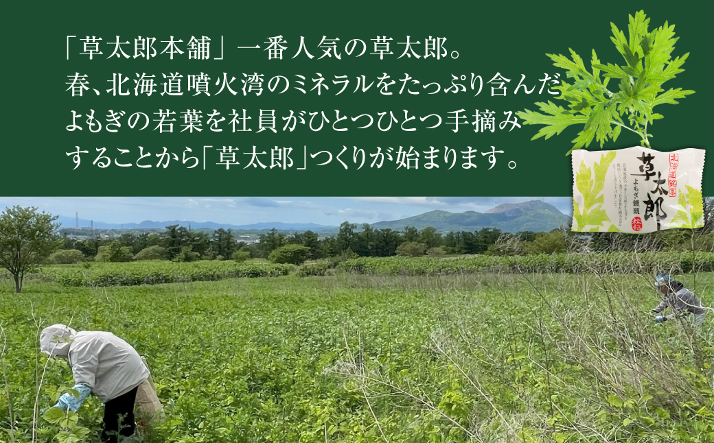 草太郎（まんじゅう）15個入 MROAF011