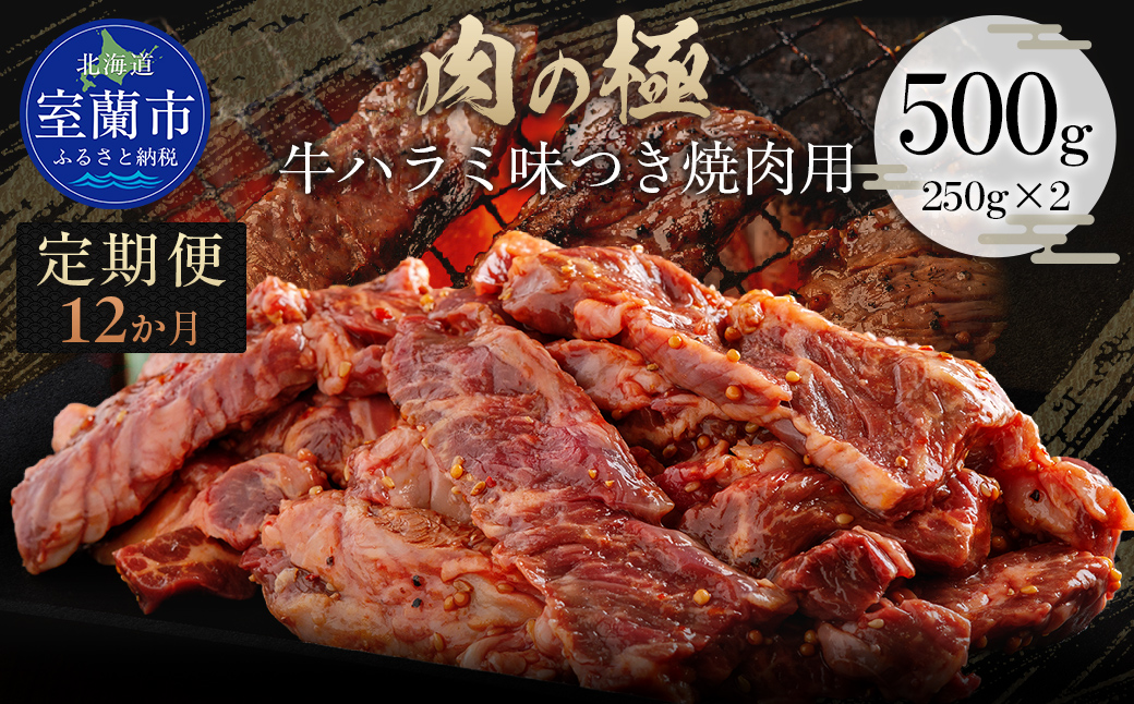 【12か月定期便】牛ハラミ味つき焼肉用 500g (250g×2) MROBM042