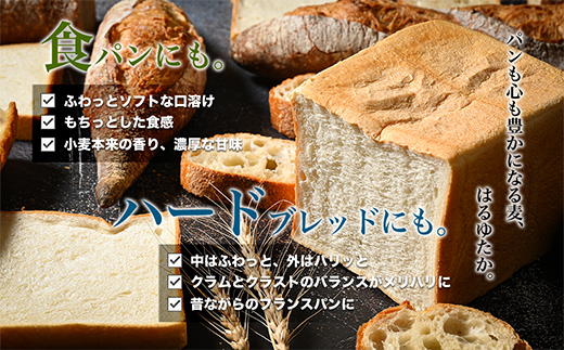 北海道産 はるゆたかブレンド小麦粉 シルバーライズ（パン用強力粉）7.5kg MROBI015