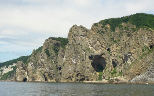 宀èå°ç岬é芧ã¯ã«ãŒãºãã±ãã 倧人2åæ§ MROX006