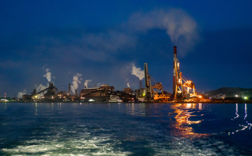 螳、陂ュ螟懈勹 繝翫う繝医け繝ォ繝シ繧コ繝√こ繝繝 螟ァ莠コ1蜷肴ァ MROX001