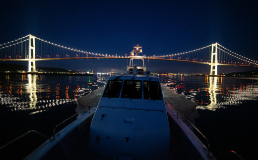 螳、陂ュ螟懈勹 繝翫う繝医け繝ォ繝シ繧コ繝√こ繝繝 螟ァ莠コ1蜷肴ァ MROX001