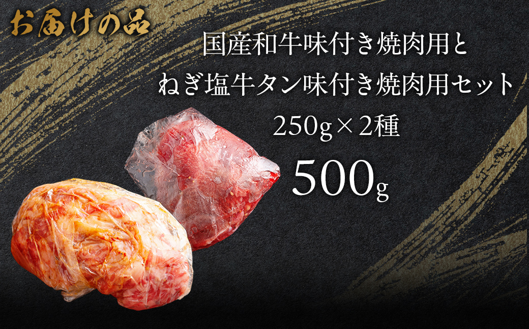 国産和牛味付き焼き肉用とねぎ塩牛タン味付き焼き肉用セット 500g（各250g×1） MROBM067