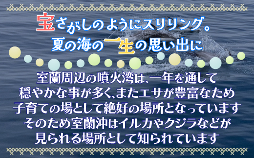 室蘭 イルカウォッチングチケット 大人1名様 MROX003