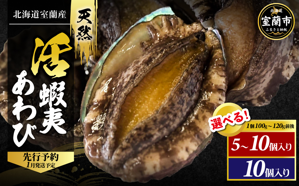 北海道室蘭産 天然活蝦夷あわび 10個入（1個100g〜120g前後）（2026年1月中旬頃お届け） MROH007