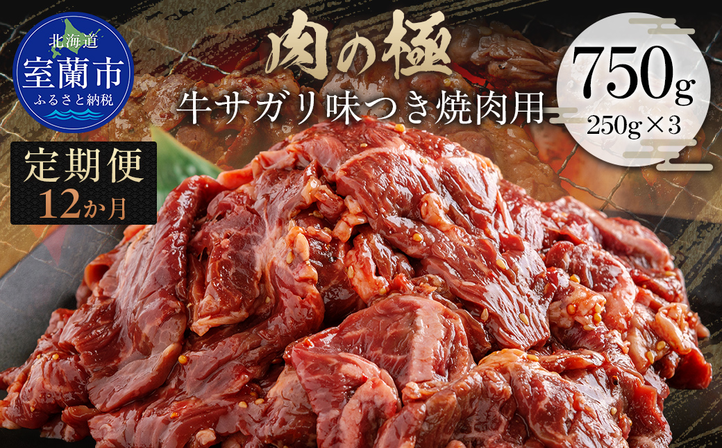 【12か月定期便】牛サガリ味つき焼肉用 750g (250g×3) MROBM031