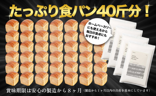 北海道産 はるゆたかブレンド小麦粉 シルバーライズ（パン用強力粉）10kg MROBI016