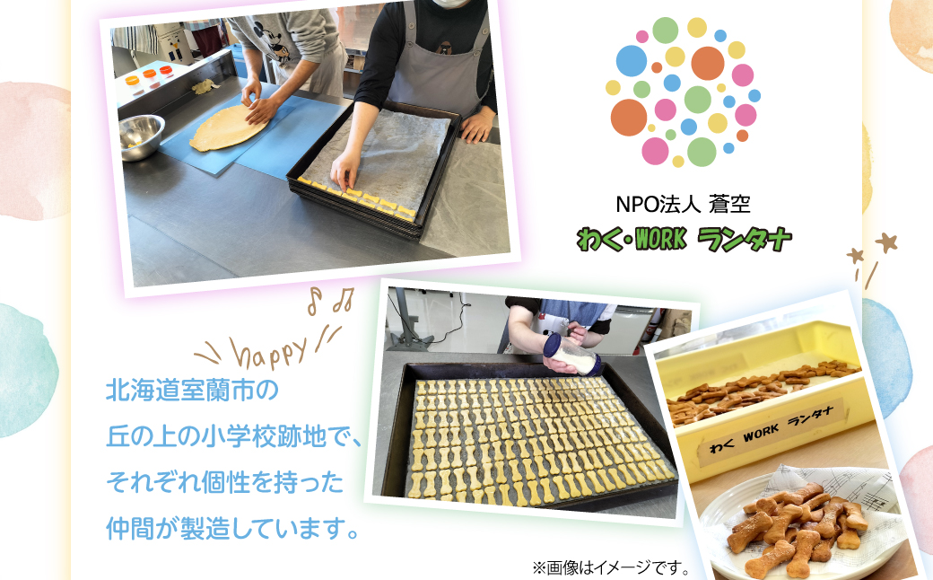 èŒç©ºã®ã®ãã ãããçšãžã£ãŒããŒã»ã¯ãã㌠MROBC006