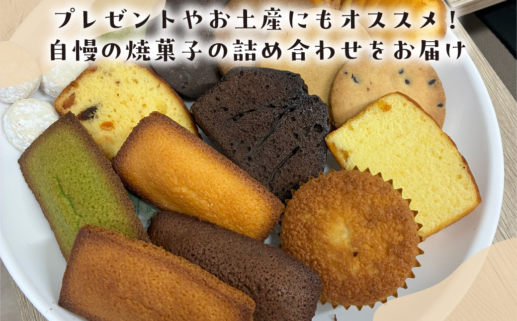 繝昴Φ繧キ繝ァ繧ウ繝ゥ10蛟句・繧 MROBS008