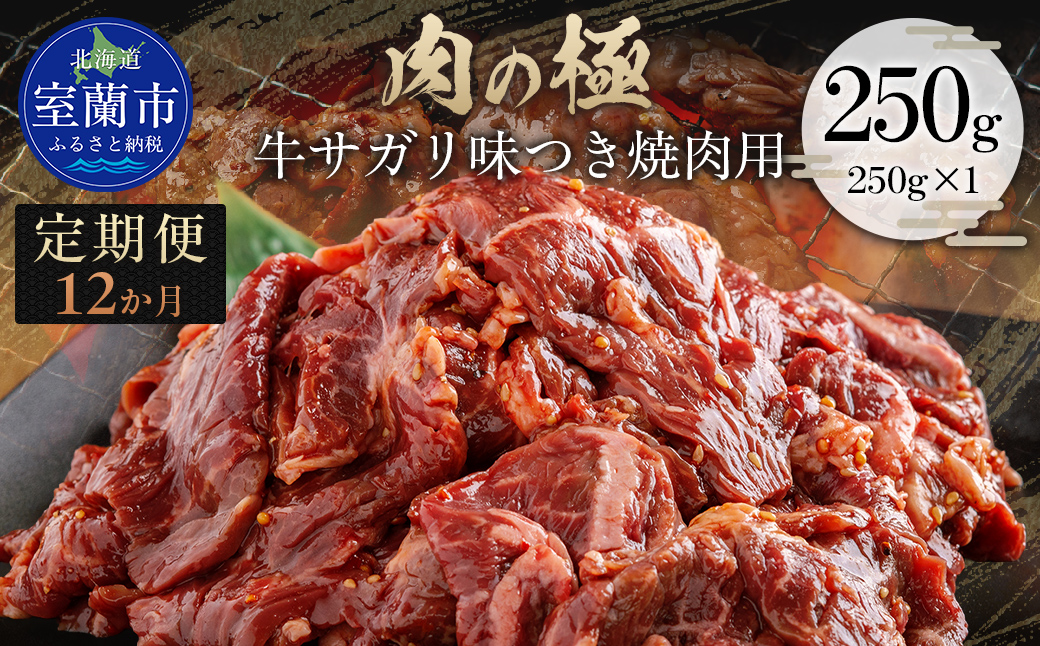 【12か月定期便】牛サガリ味つき焼肉用 250g (250g×1) MROBM023