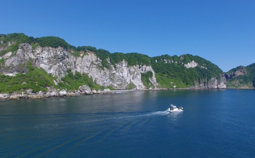 宀èå°ç岬é芧ã¯ã«ãŒãºãã±ãã 倧人2åæ§ MROX006