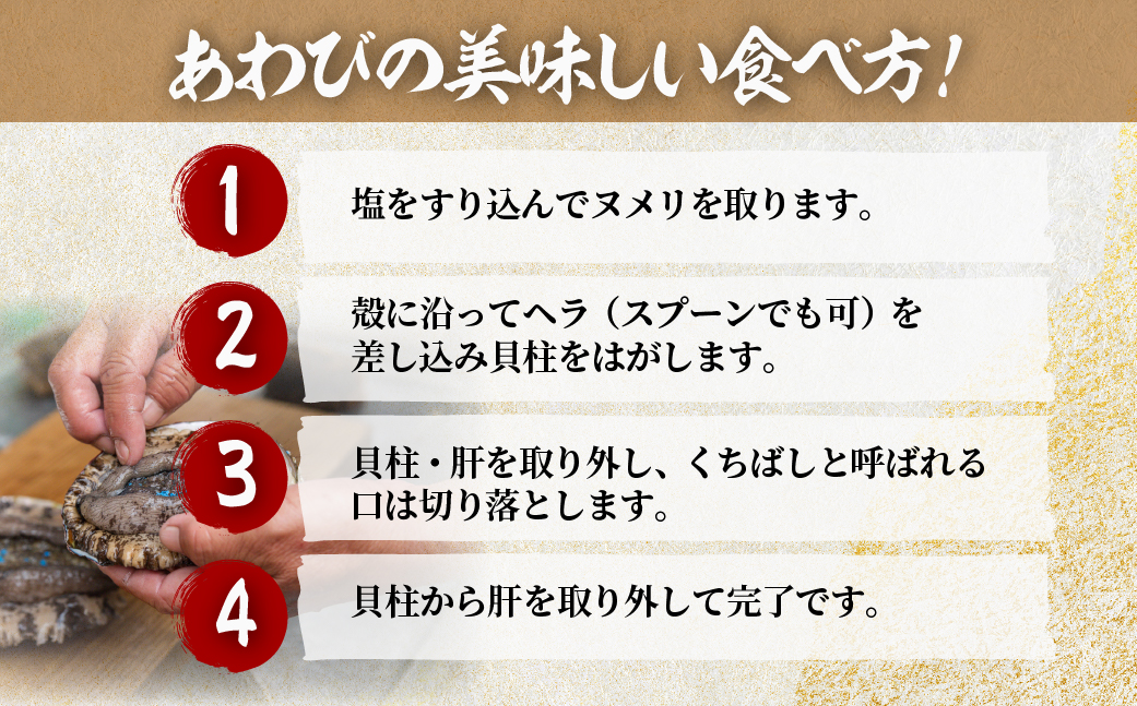 北海道室蘭産 天然蝦夷活あわび 2個入（1個100g～120g前後）2026年11月下旬頃～2027年1月下旬頃順次発送 MROH009