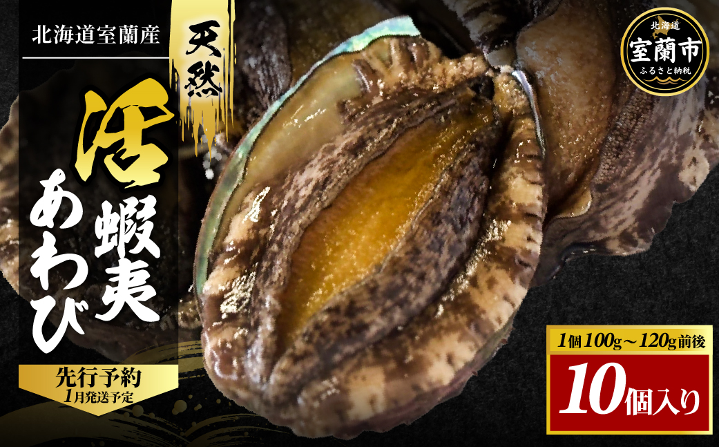 北海道室蘭産 天然活蝦夷あわび 10個入（1個100g～120g前後）（2026年1月中旬頃から順次発送予定） MROH007