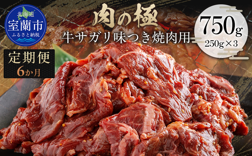 【6か月定期便】牛サガリ味つき焼肉用 750g (250g×3) MROBM030