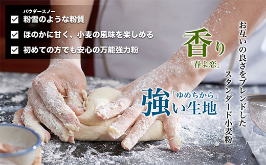 北海道産 「春よ恋」「ゆめちから」ブレンド小麦粉 パウダースノー（パン用強力粉）5kg MROBI010