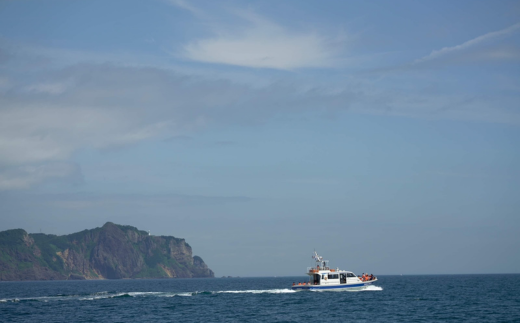 室蘭地球岬遊覧クルーズチケット 大人1名様 MROX005