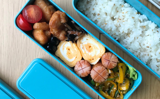 GEL-COOL ãåŒåœç®± ã¹ãªã ã¢ãã« ããªãŒãã«ãŒ MROK006-3