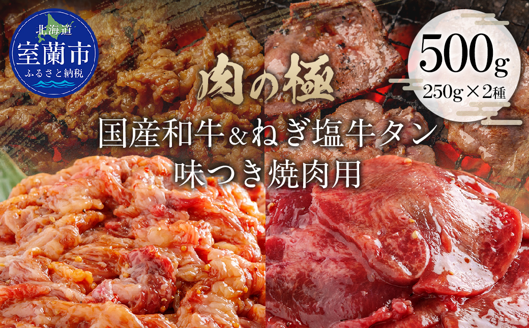 国産和牛味付き焼き肉用とねぎ塩牛タン味付き焼き肉用セット 500g（各250g×1） MROBM067