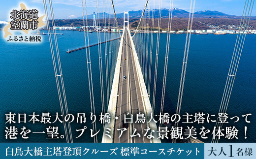 白鳥大橋主塔登頂クルーズ 標準コースチケット 大人1名様　 MROX007
