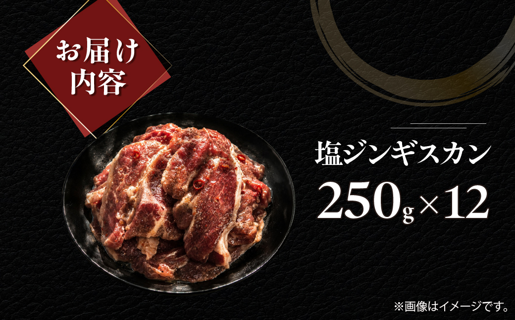 蝪ゥ繧ク繝ウ繧ョ繧ケ繧ォ繝ウ250gテ12 MROA237