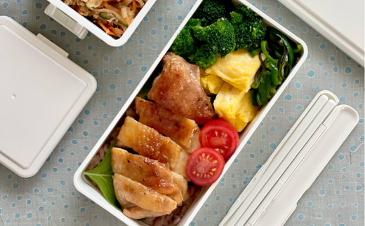 GEL-COOL お弁当箱 スクエアモデル L ミルクホワイト MROK011-1