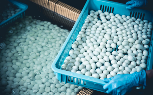 辯サ縺溘∪シ5邊抵シ会シ蜻ウ縺溘∪シ5邊抵シ牙推5繝代ャ繧ッ MROF007