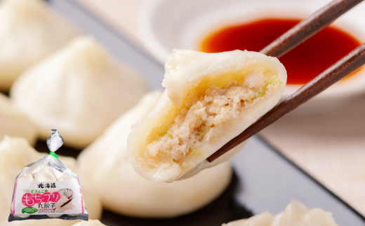 ラーメン5種各2食、餃子・包子各1袋セット MROV003