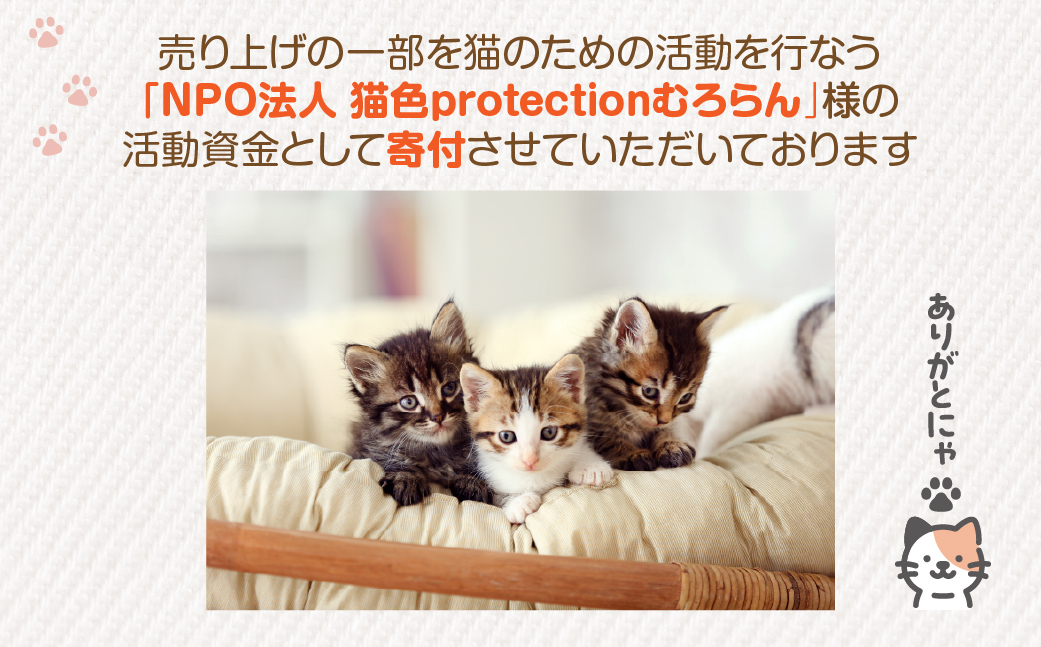 【長持ちする猫の爪とぎ】ズットモーツ 3個セット MROJ002