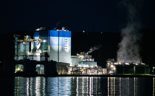 螳、陂ュ螟懈勹 繝翫う繝医け繝ォ繝シ繧コ繝√こ繝繝 螟ァ莠コ1蜷肴ァ MROX001