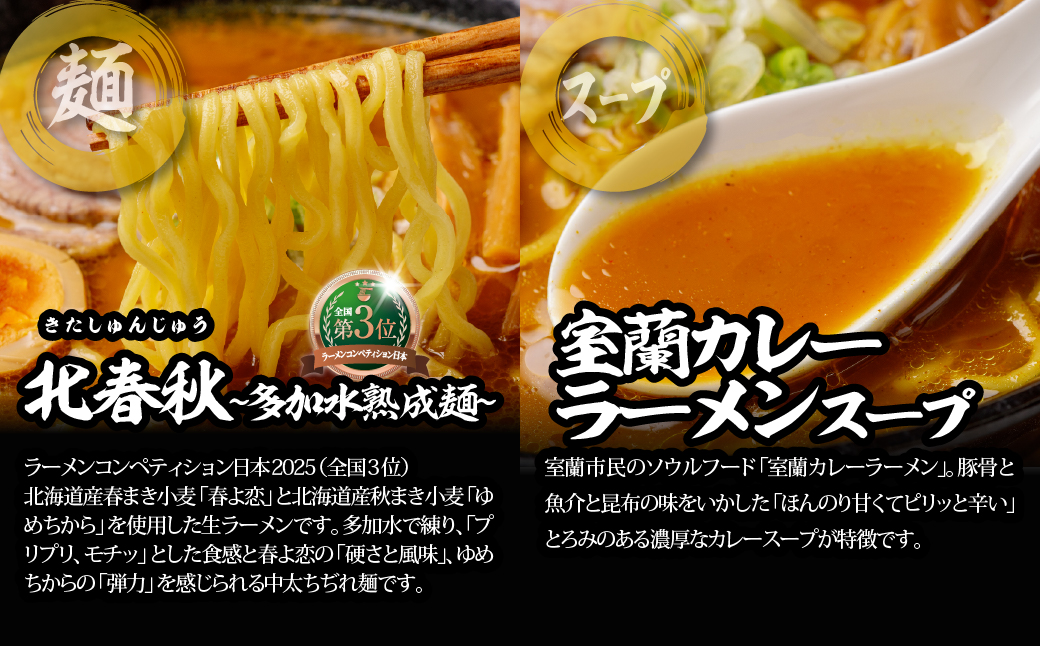 【品評会受賞麺】ラーメン・つけ麺 計１０食セット(カレーつけ麺２食、室蘭カレーラーメン２食、　味噌ラーメン２食、懐かし醤油ラーメン２食、知床どりしおラーメン２食) MROV043