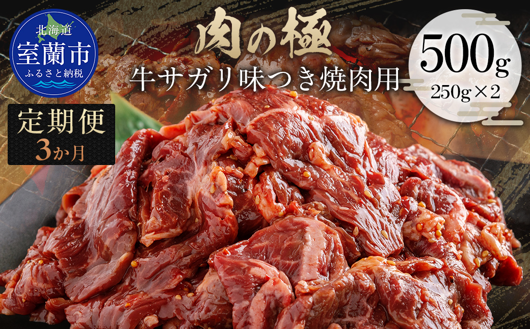 【3か月定期便】牛サガリ味つき焼肉用 500g (250g×2) MROBM025