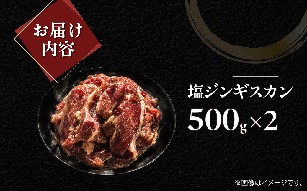 蝪ゥ繧ク繝ウ繧ョ繧ケ繧ォ繝ウ500gテ2 MROA213