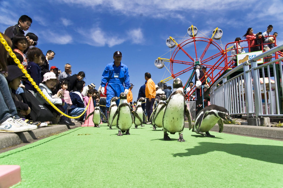 公共施設等整備基金（観光施設）