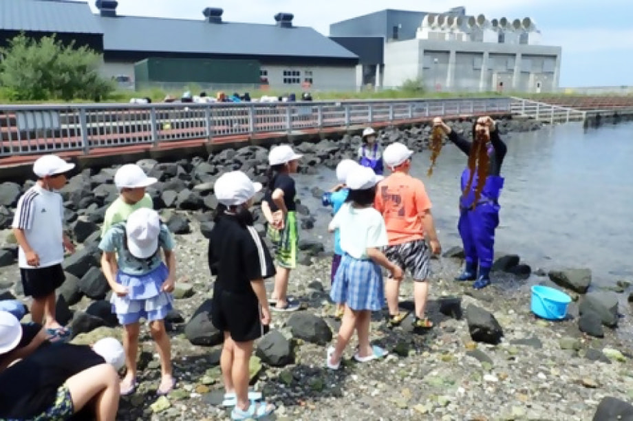 北海道大学北方生物圏フィールド化学センター室蘭臨海実験所の応援